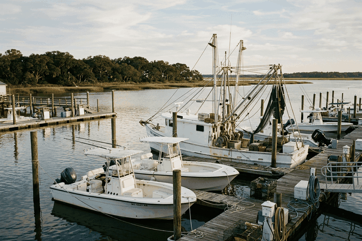 Shrimp boats and center console fishing boats at a Gulf Coast marina with live oaks on the shore, as kept by many Texas boat owners